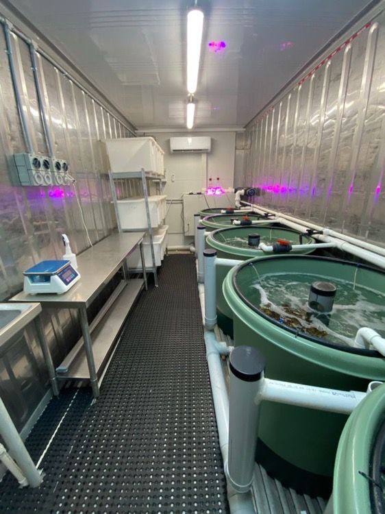 Indoor facility with green tanks